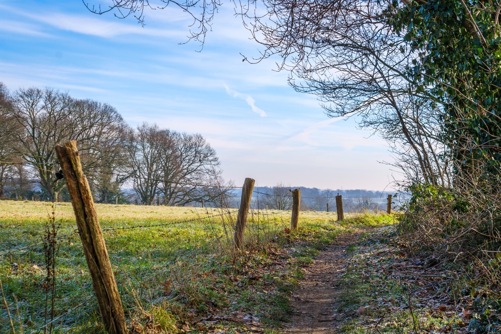 pad in markelo wandelroutes twente shutterstock 1908088720, wandelen Twente