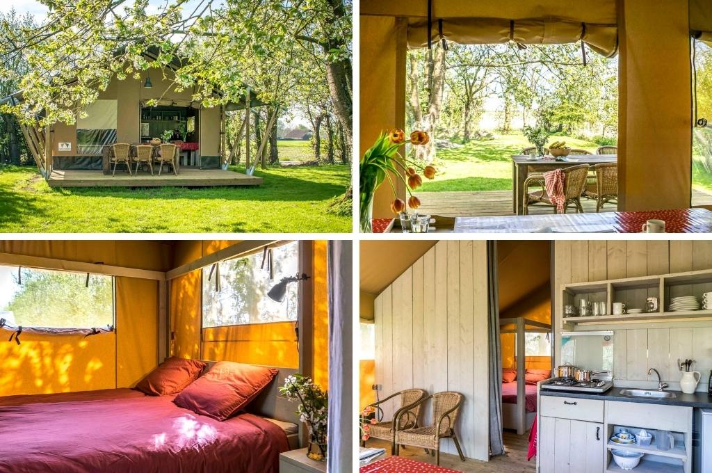 safaritent in zeeland graauw 1, glamping zeeland