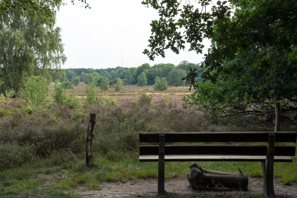 Springendal Bankje Wandelroutes Twente Shutterstock 1113440420