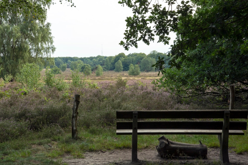 springendal bankje wandelroutes twente shutterstock 1113440420, wandelen Overijssel