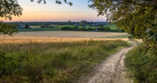 Bergherbos wandelen achterhoek shutterstock 1769440931, dorpjes Achterhoek