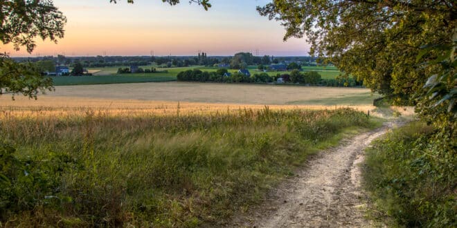 Bergherbos wandelen achterhoek shutterstock 1769440931, campings in Gelderland