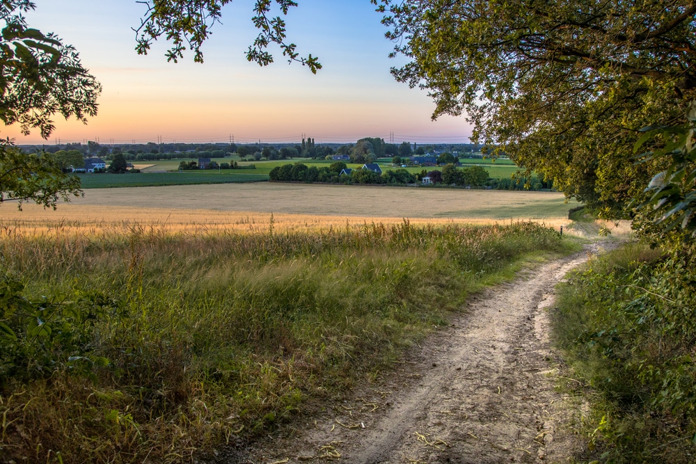 Bergherbos wandelen achterhoek shutterstock 1769440931, wandelroutes Achterhoek