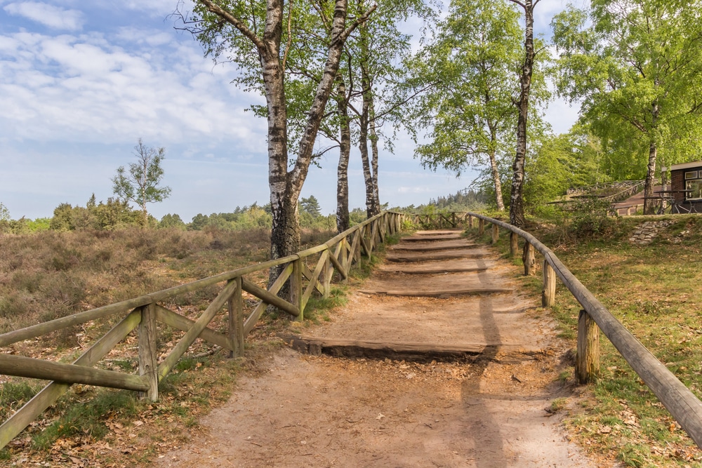 Lemelerberg Overijssel shutterstock 1767221360, wandelen Luxemburg mooiste wandelroutes