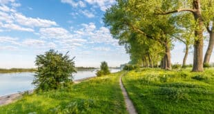 Ooijpolder wandelen gelderland shutterstock 645886348, wandelen Flevoland