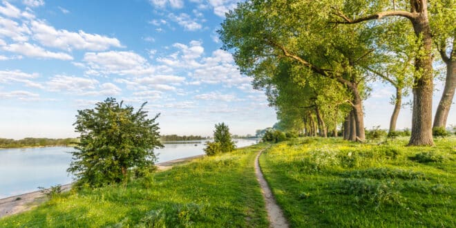 Ooijpolder wandelen gelderland shutterstock 645886348, wandelen Luxemburg mooiste wandelroutes