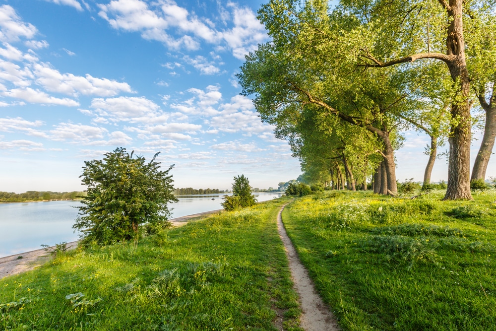 Ooijpolder wandelen gelderland shutterstock 645886348, wandelroutes Gelderland