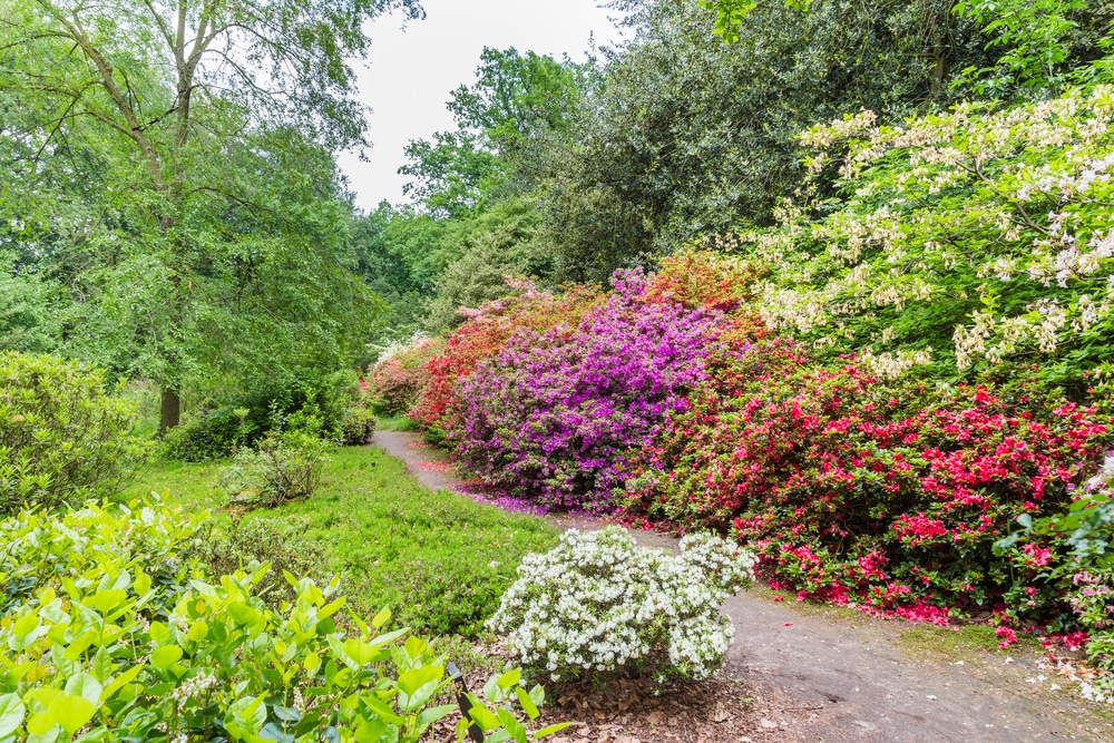 Belmonte Wageningen Wandelen Gelderland Shutterstock 428035291