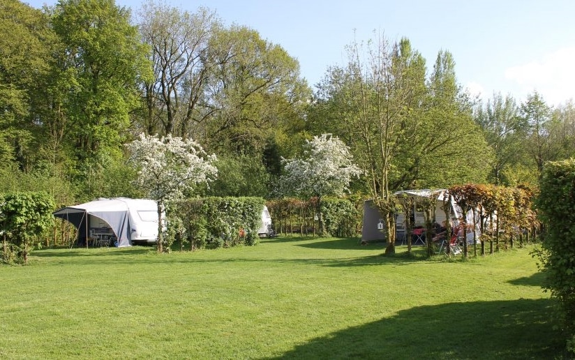 Camping De Betuwe Hoeve 9 916x516 1