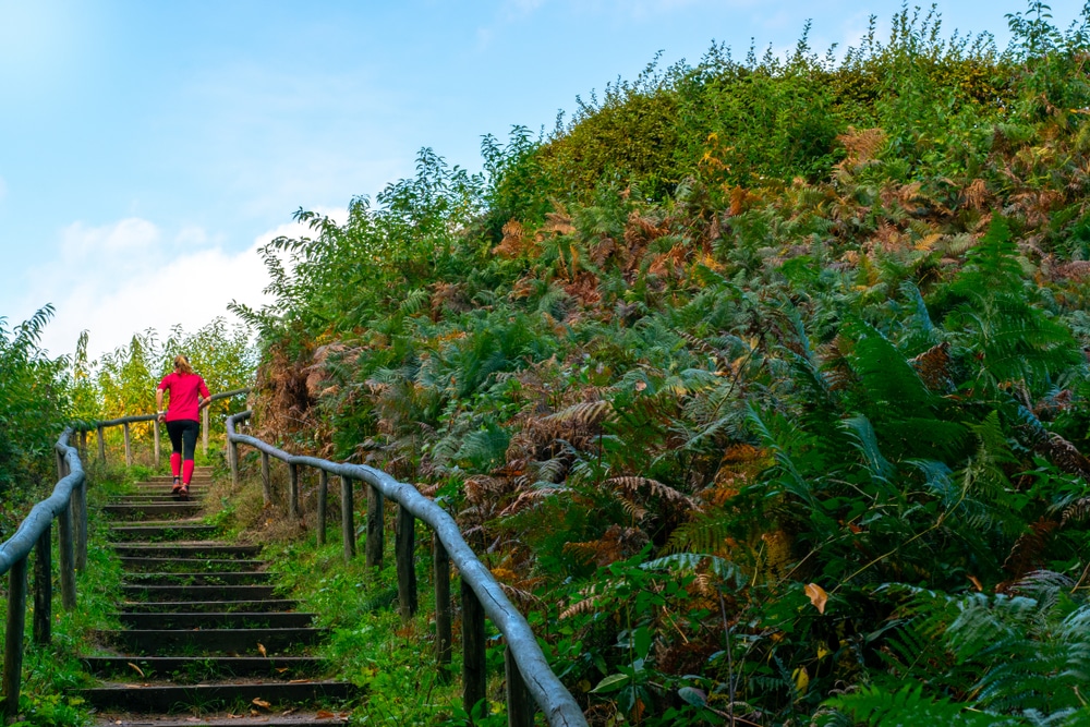 Motte Duivelsberg 0 Wandelen Gelderland Shutterstock 1536990257