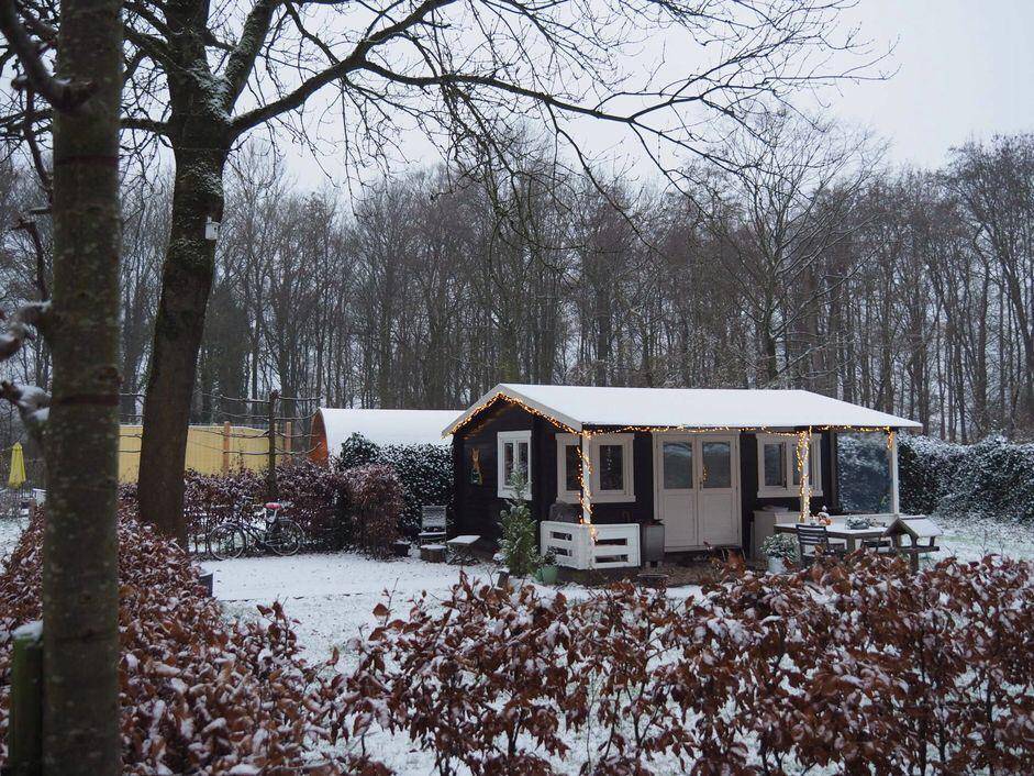 Wandelen in Flevoland, de 10 mooiste wandelroutes!