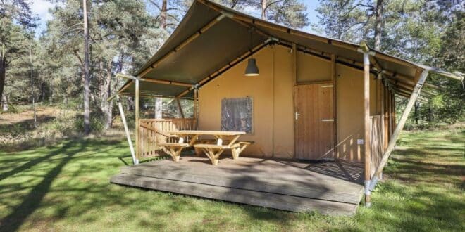 safaritent landal coldenhove 1 916x516 1, glamping Veluwe