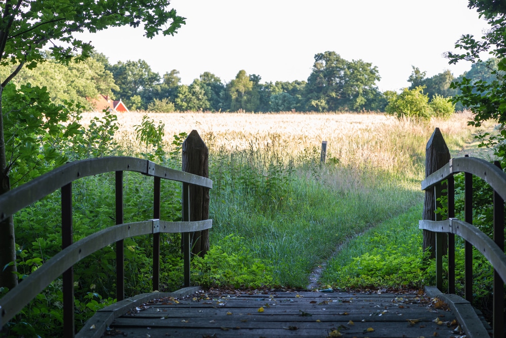 Wandelen in de Achterhoek, de 10 beste wandelroutes!