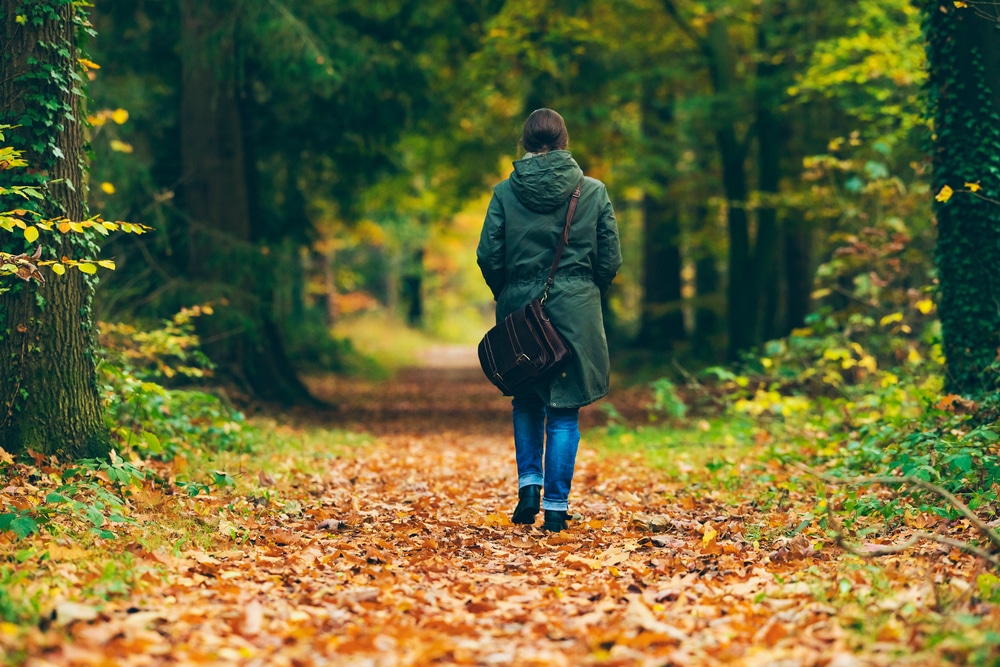 Wandelen in de Achterhoek, de 10 beste wandelroutes!
