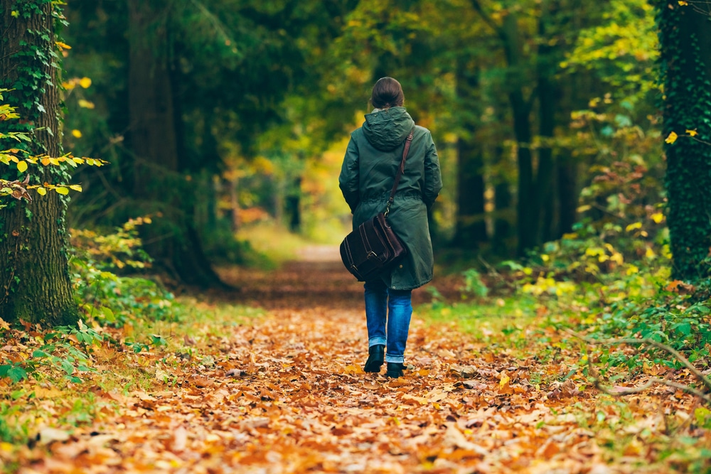 wandelroutes achterhoek shutterstock 528232153, wandelroutes Achterhoek