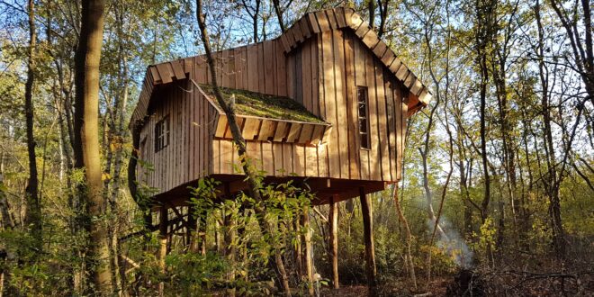 Camping de Reeenwissel boomhut drenthe 14 min, boomhut overnachting nederland