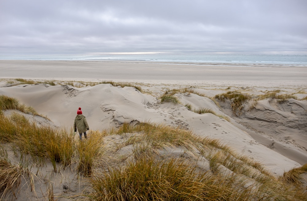 De Hors wandelen Texel shutterstock 1667578501, wandelen Luxemburg mooiste wandelroutes