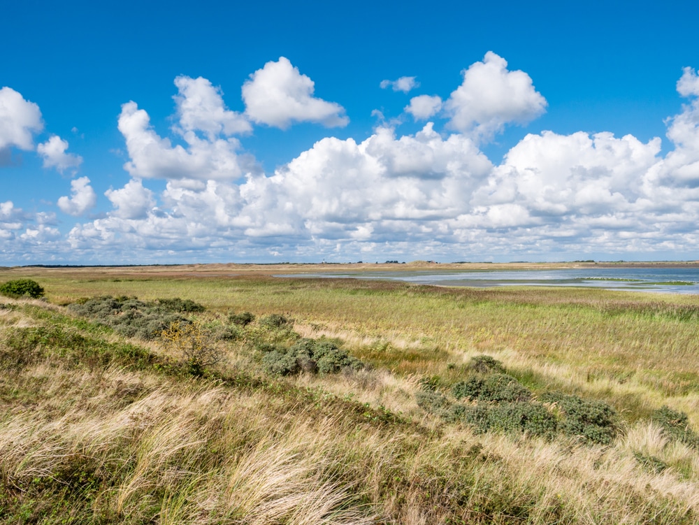 Mokbaai wandelen Texel shutterstock 1245263587, wandelen op Texel