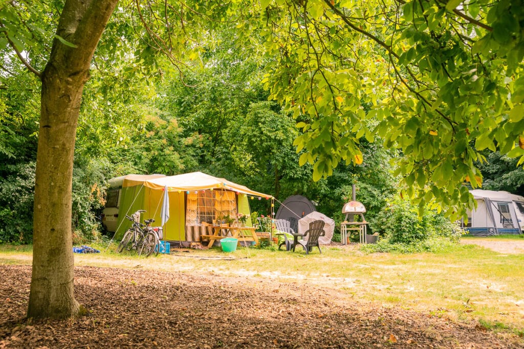 Natuurcamping De Kemphaan flevoland, wandelen Flevoland