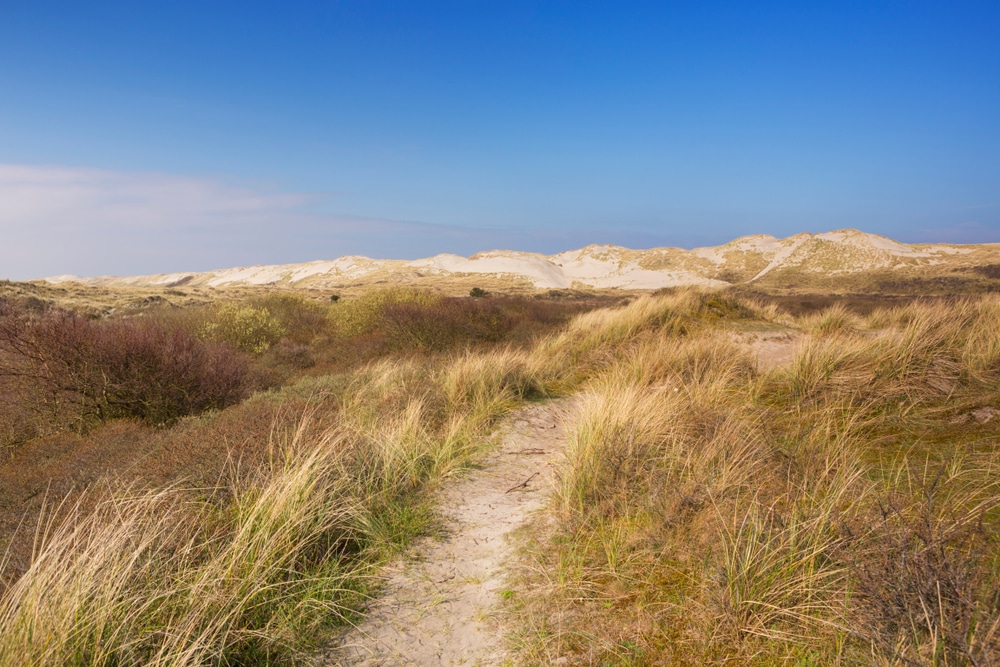 Noordsvaarder wandelen Terschelling shutterstock 1567436050, beste vakantieparken op de waddeneilanden