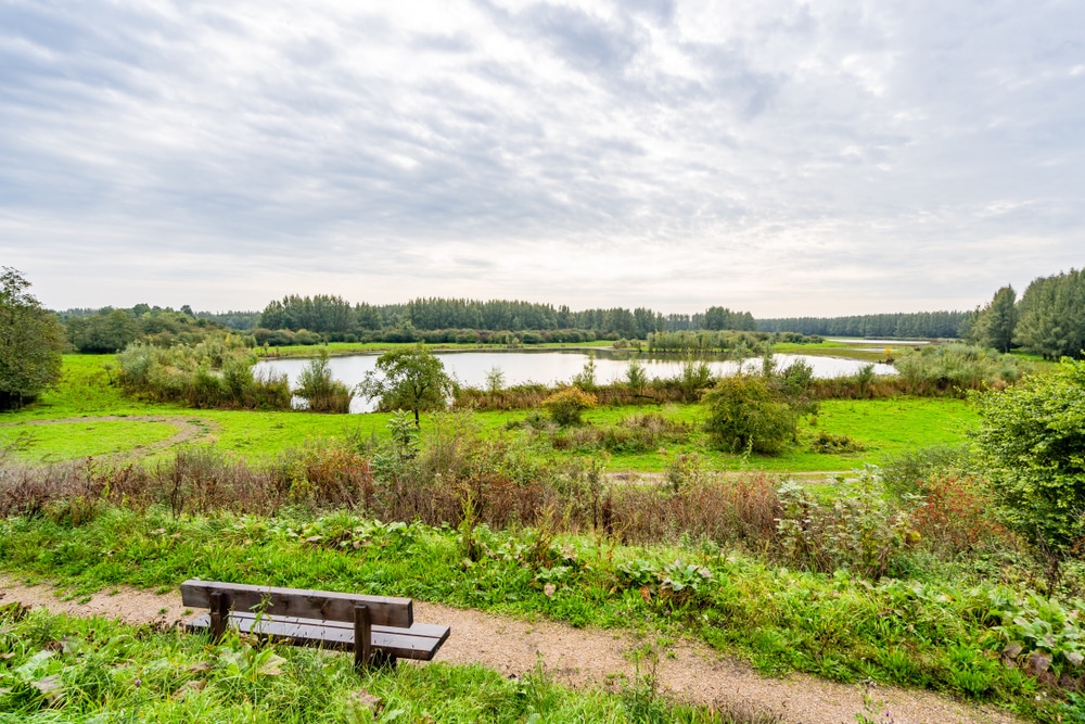 Stille Kern Horsterwold flevoland shutterstock 1546557083, wandelen Flevoland