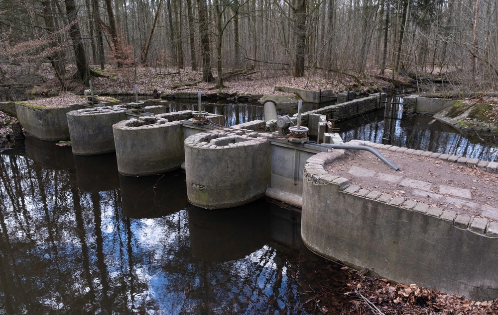 Waterloopbos wandelen Flevoland shutterstock 1930293752, wandelen Luxemburg mooiste wandelroutes