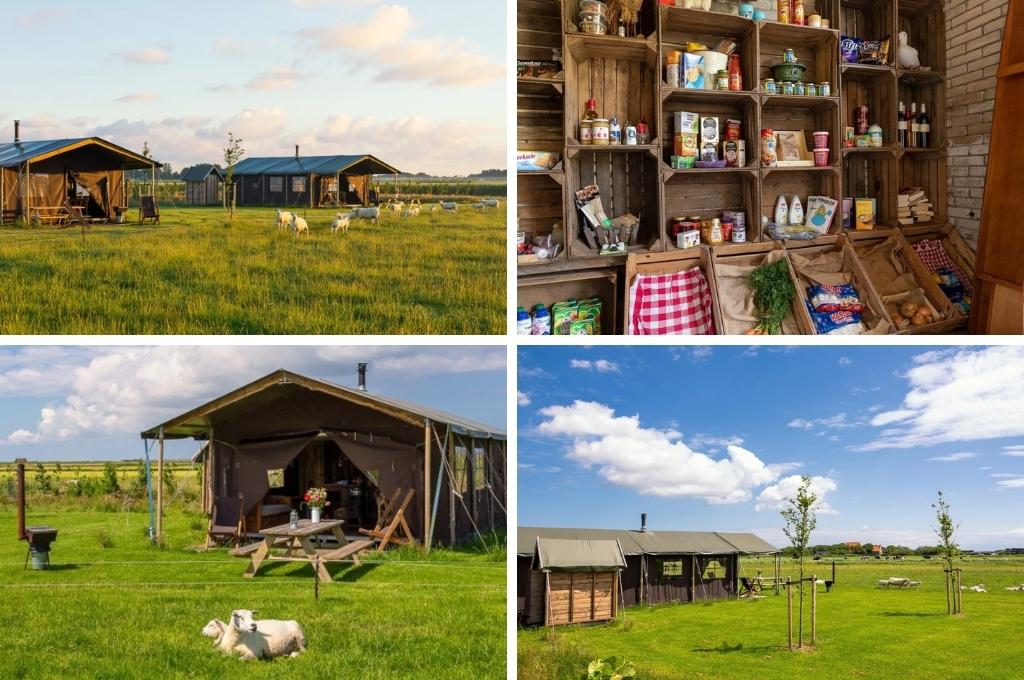 fotocollage van boerderijcamping BoerenBed Ameland met een foto van twee safaritenten in het gras, een foto van het boerderijwinkeltje, een foto van de voorkant van een safaritent en een foto van het uitzicht over de weilanden met een safaritent