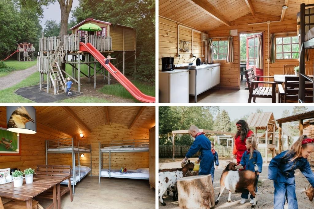 boomhut nederland noord brabant vakantiepark dierenbos, wellness huisje nederland