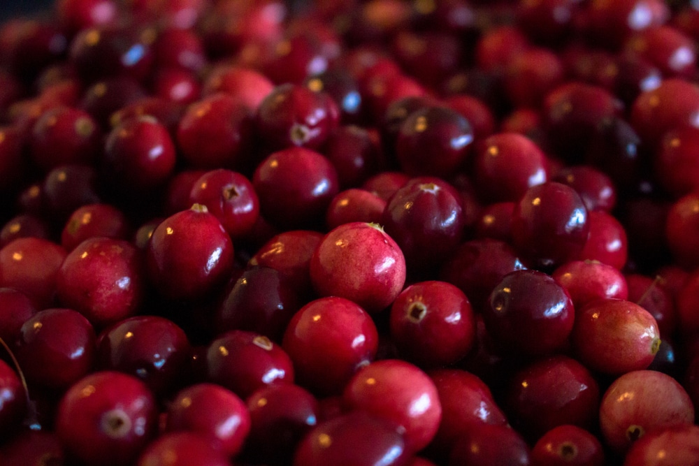 cranberries wandelen terschelling shutterstock 1196845132, wandelen op Terschelling