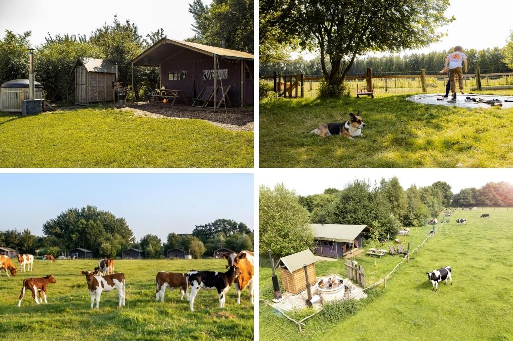 bijzonder overnachten nederland boerderijcamping boerenbed, vakantiehuisje in nederland met hottub