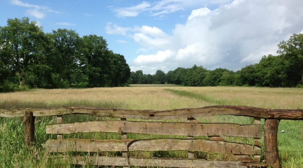 boomhut drouwener 4, mooiste campings in Drenthe