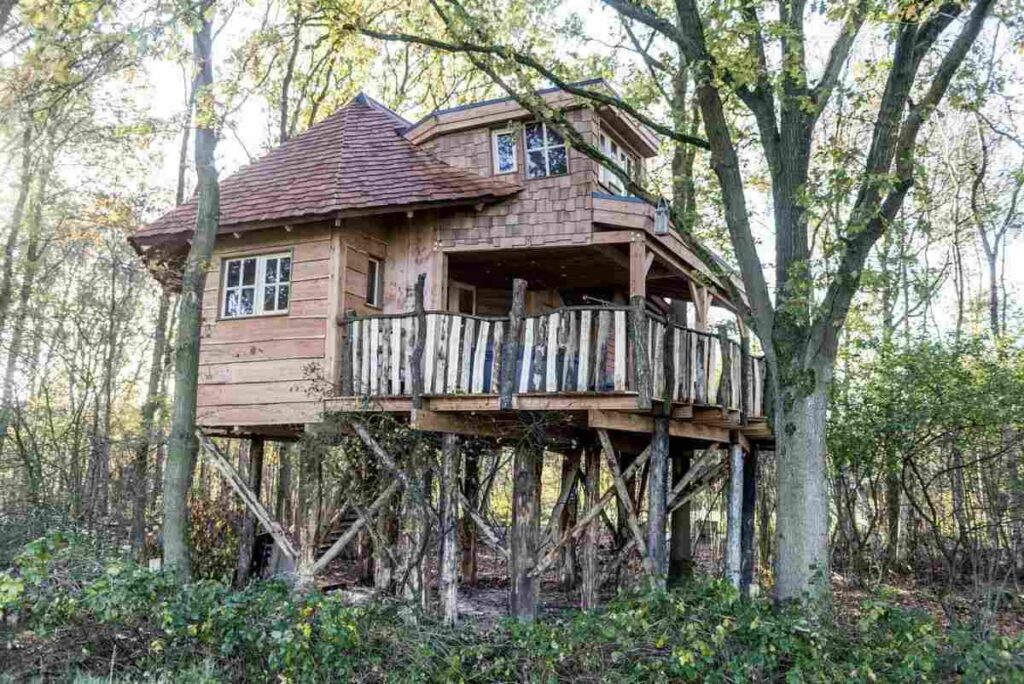 boomhut westerbergen 1, mooiste campings in Drenthe