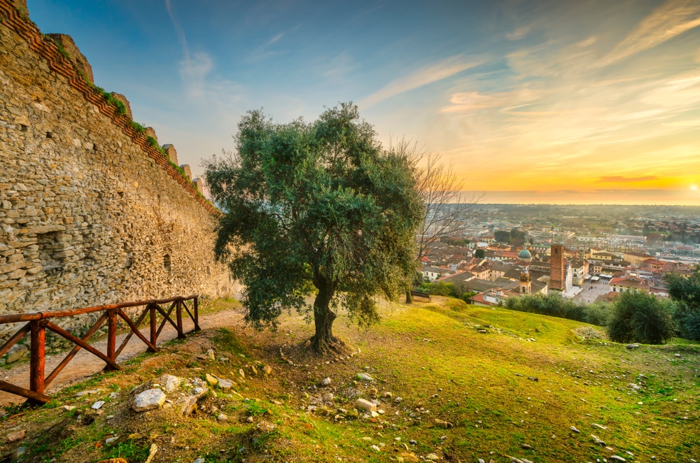 camaiore toscane shutterstock,