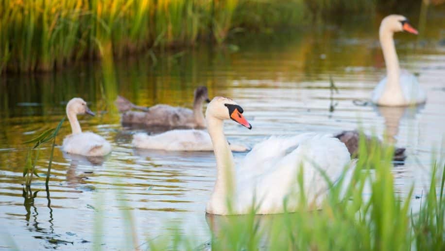 10x bijzonder overnachten in Drenthe