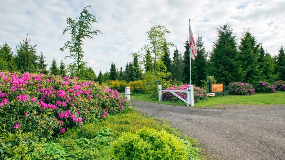 landgoed tolhek 4, mooiste campings in Drenthe