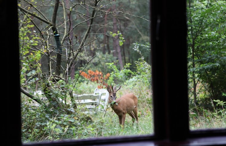 natuurhuisje 4 1, bijzonder overnachten drenthe