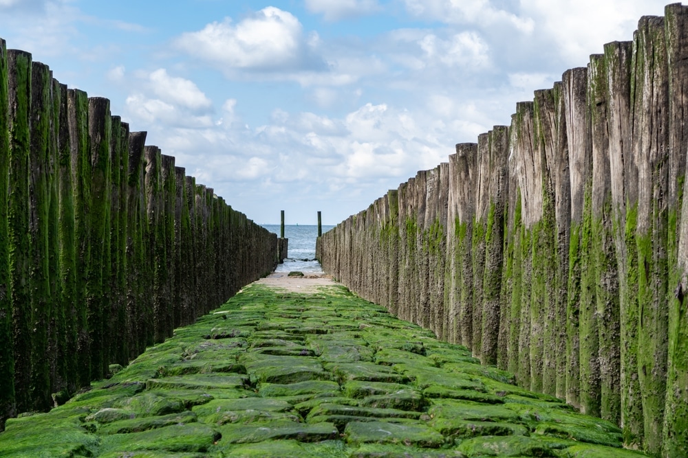 De 10 mooiste stranden van Zeeland