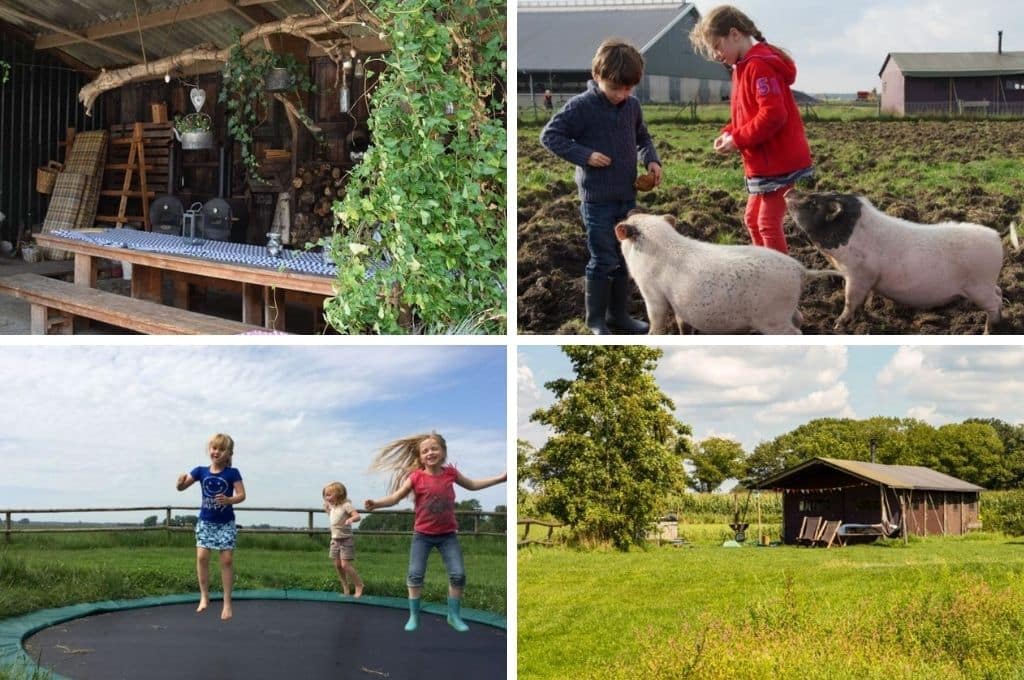 BoerenBed De Kalverweide, Camping Overijssel