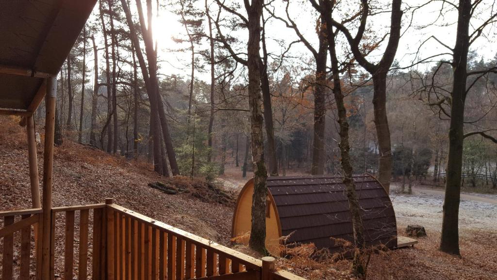 buitenplaats beekhuizen 4, boshuisje Veluwe