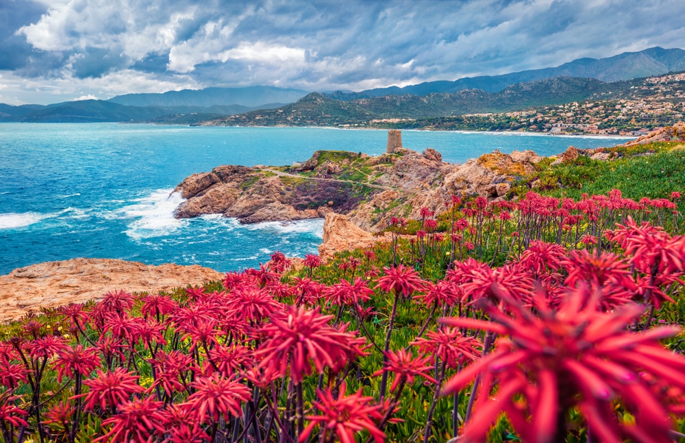 Corsica 1494151766