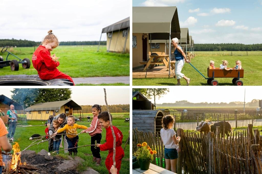 glamping drenthe farmcamps t looveld, mooiste campings in Drenthe