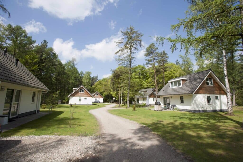 het grote bos 1, boshuisje Veluwe