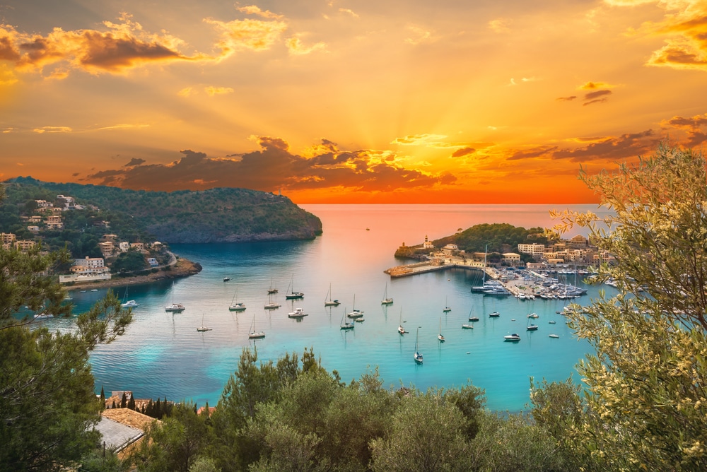 Mallorca 1893991069