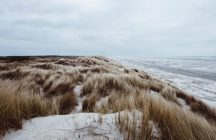 natuurhuisje nes 4, boshuisje Veluwe