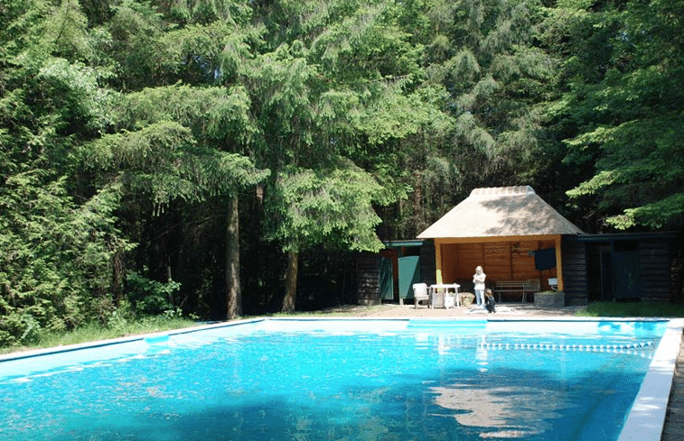 natuurhuisje vierhouten 2, boshuisje Veluwe