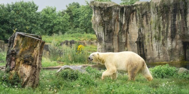 Diergaarde Blijdorp Rotterdam Dierentuinen Nederland shutterstock 2065950212, leukste dierentuinen Nederland