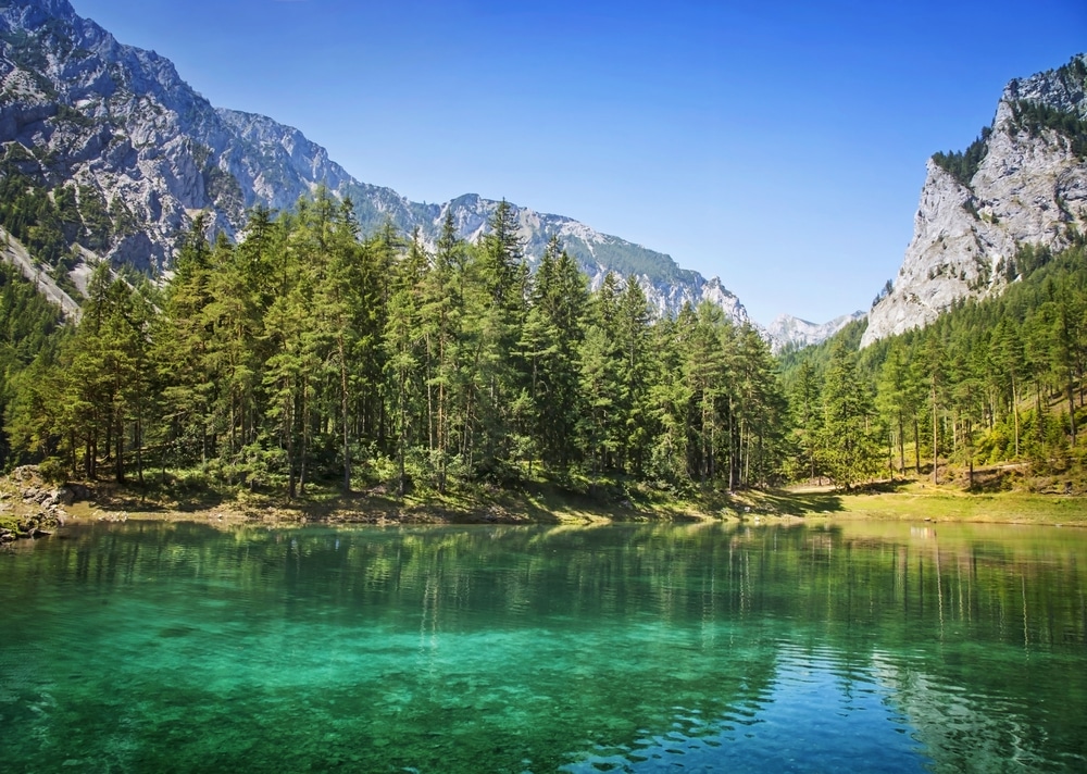 Gruner See Oostenrijk 147926525, natuurgebieden Duitsland