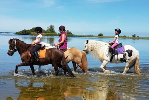 VILLAVAKANTIEPARK IJSSELHOF 4, 10 mooiste glamping en safaritenten noord-holland