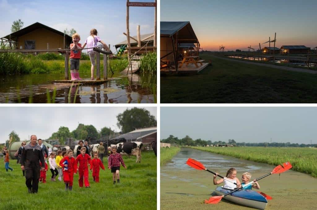 Farmcamps Stolkse Weide Camping Zuid Holland