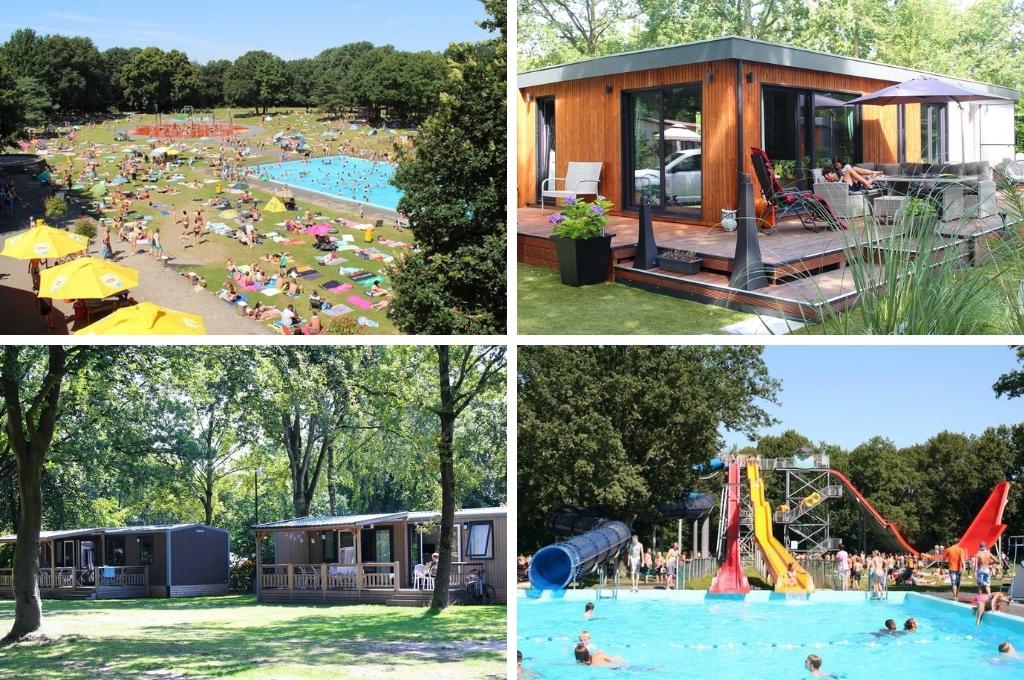 molecaten park bosbad hoeven noord brabant, bijzonder overnachten brabant